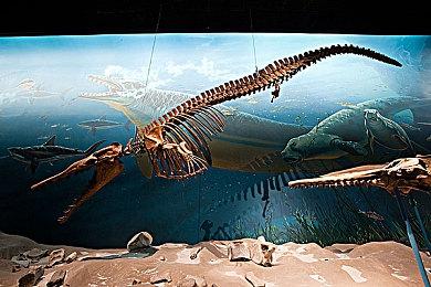 《ALTF4》开发商新作《SOWON》Steam页面上线 10月28日发售